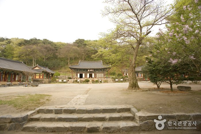 [京畿道] 青龍寺(安城)(청룡사(안성))