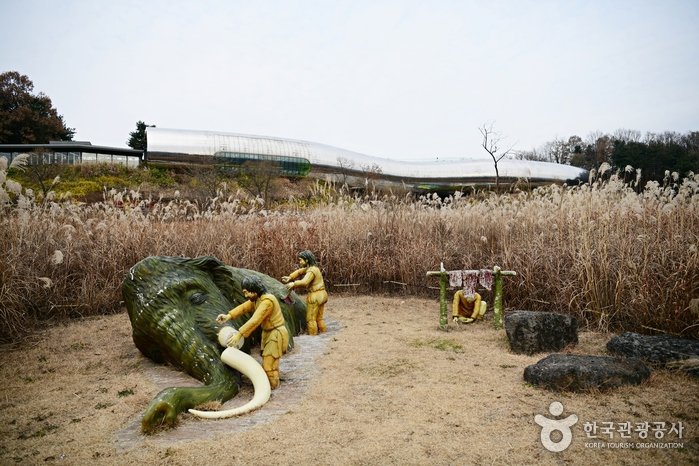 [京畿道] 全谷史前博物館(전곡선사박물관)