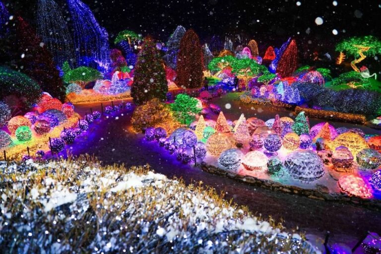 [京畿道] 晨靜樹木園五色星光庭園展(아침고요수목원 오색별빛정원전)