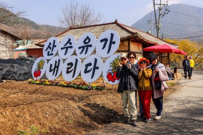 [京畿道] 楊平山茱萸韓牛節(양평산수유한우축제)
