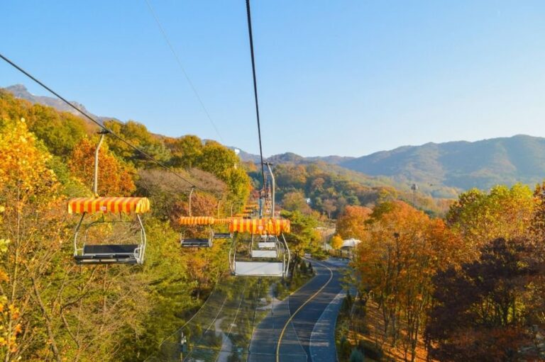 [京畿道] Skylift(스카이리프트)