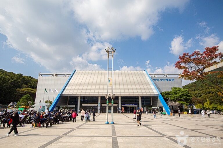 [京畿道] 光明市民體育館(광명시민체육관)