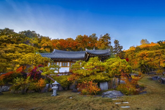 [京畿道] 朝鮮王家(農業公司法人朝鮮王家股份有限公司)(조선왕가(농업회사법인 조선왕가 주식회사))