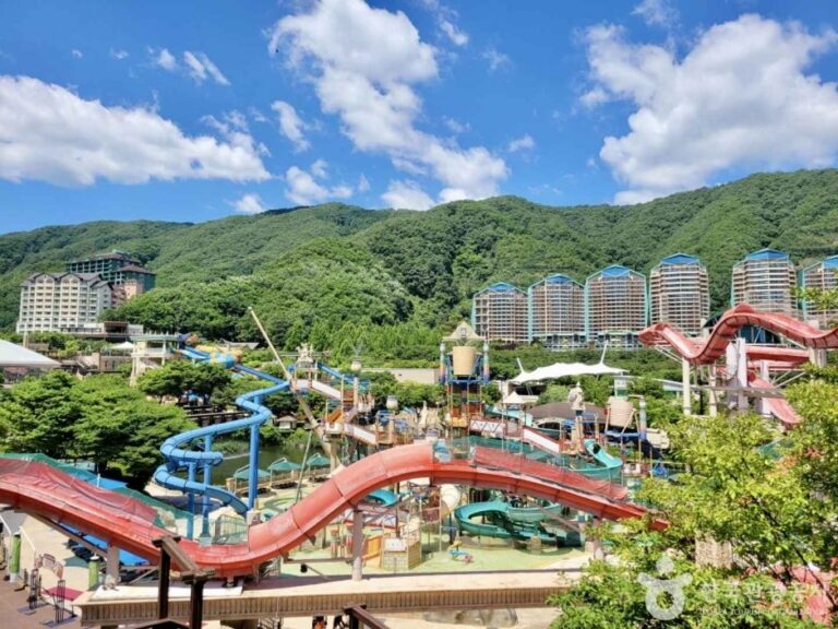 [江原道] SONO BELLE百玩地公園海洋世界(소노벨 비발디파크 오션월드)