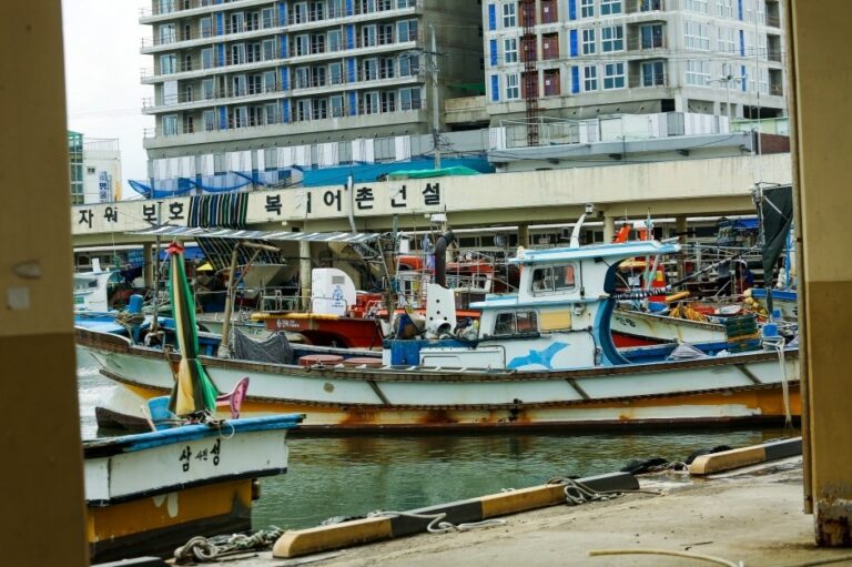 [江原道] 沙川津港(사천진항)
