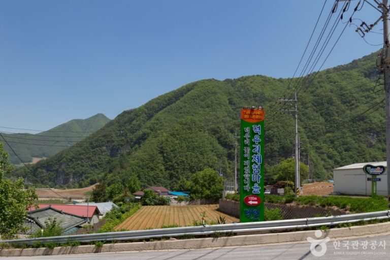 [江原道] 德雨里體驗村(덕우리체험마을)