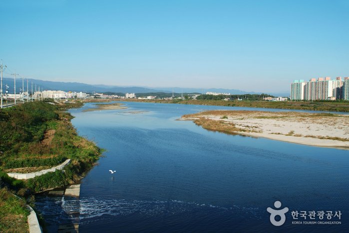 [江原道] 江陵南大川(남대천(강릉))