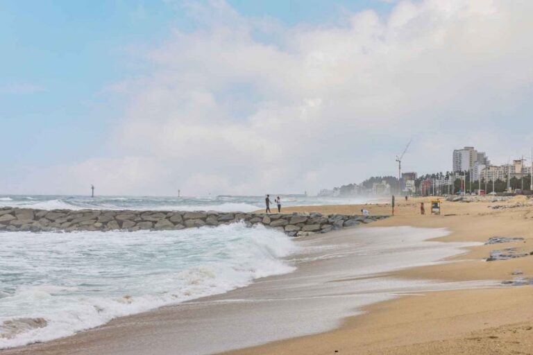 [江原道] 領津海邊(영진해변)
