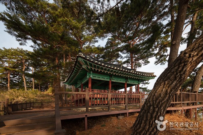 [江原道] 竹島亭&竹島觀景臺(죽도정&죽도 전망대)
