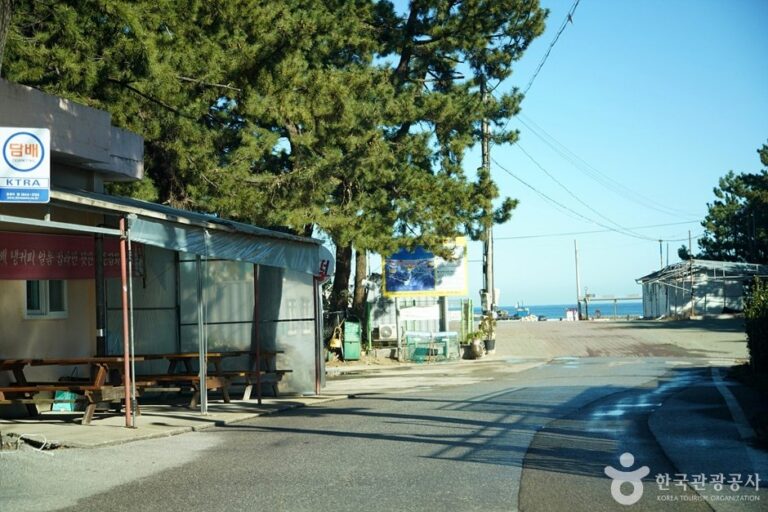 [江原道] 上孟芳海邊(상맹방해변)