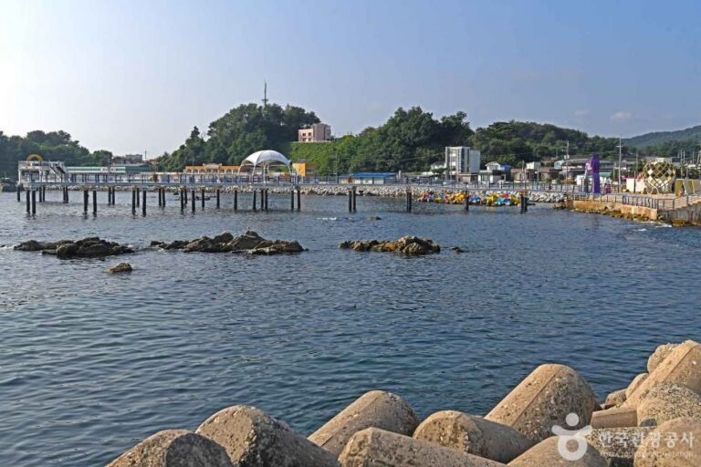 [江原道] 大津港(대진항)