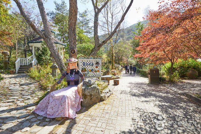 [江原道] 香草國度農園(허브나라농원)