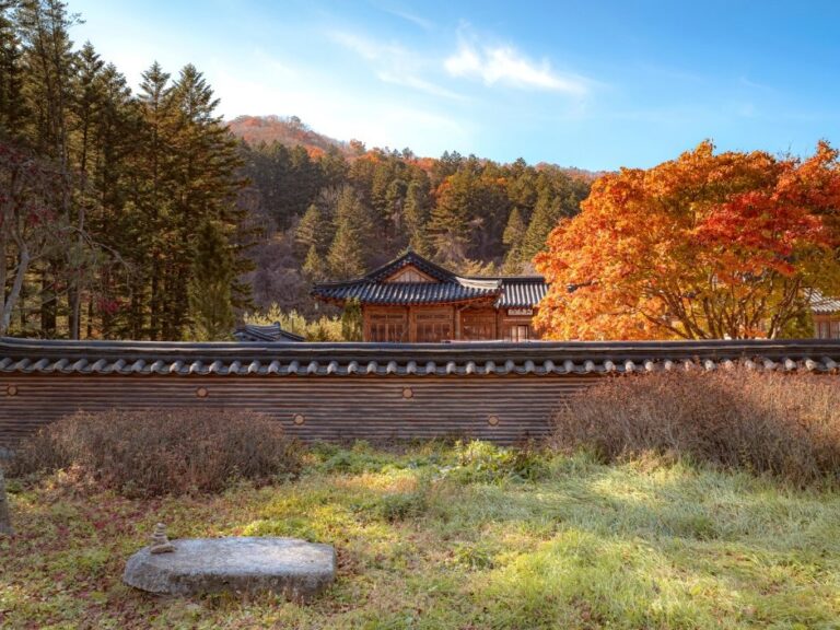 [江原道] 月精寺與月精寺杉松林(월정사.월정사 전나무숲)