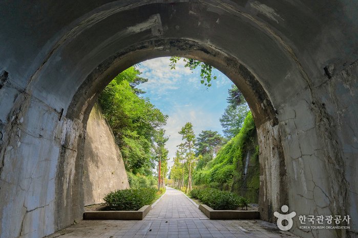 [江原道] 魯岩隧道(노암터널)