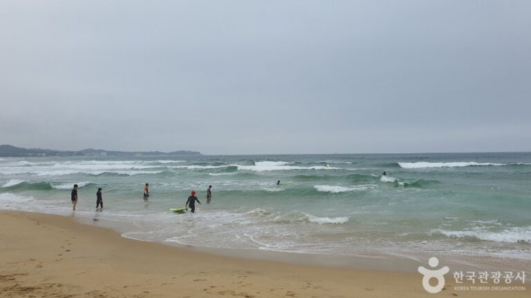 [江原道] 松池湖海水浴場(송지호해수욕장)