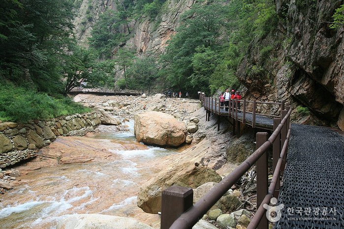 [江原道] 雪嶽山五色鑄錢谷(설악산 오색주전골)