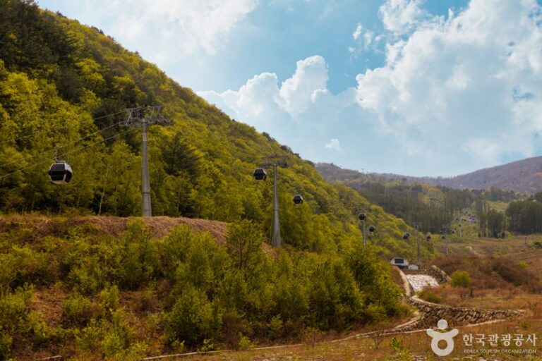 [江原道] 加里王山(가리왕산)