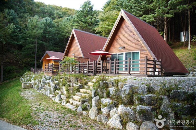 [江原道] 雉岳山自然休養林(치악산자연휴양림)