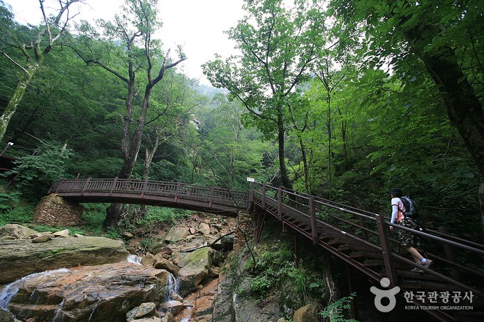 [江原道] 雪嶽山屹林谷(설악산 흘림골)
