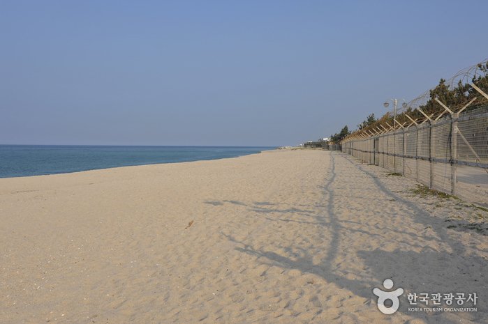 [江原道] 連谷海邊(連谷海水浴場)(연곡해변(연곡해수욕장))