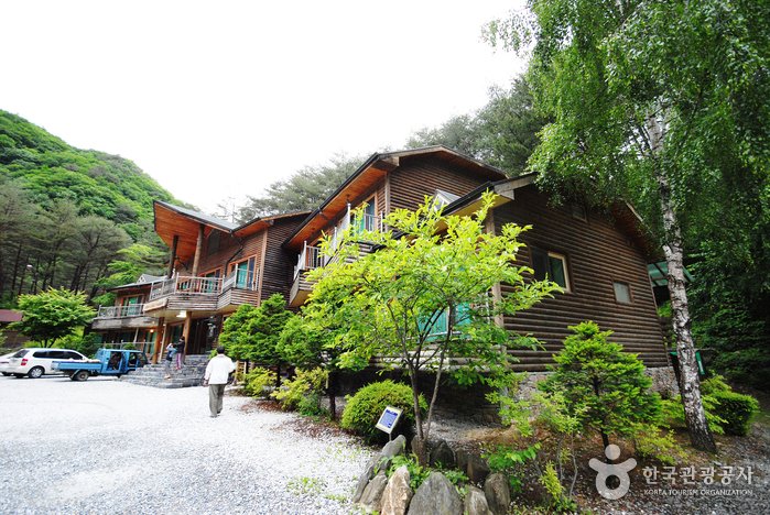 [江原道] 國立加里王山自然休養林(국립 가리왕산자연휴양림)
