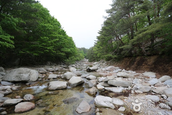 [江原道] 彌矢嶺溪谷(미시령계곡)