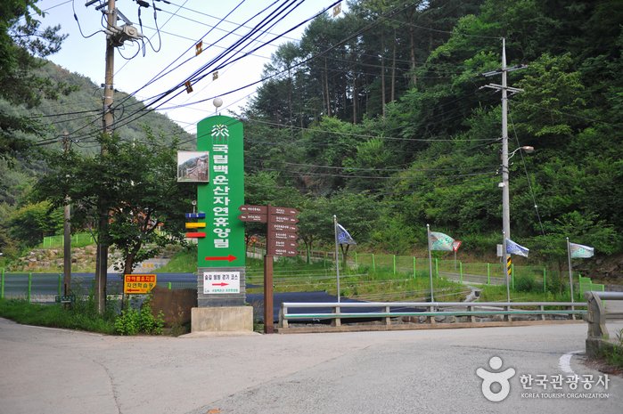 [江原道] 國立白雲山自然休養林(原州)(국립 백운산자연휴양림(원주))
