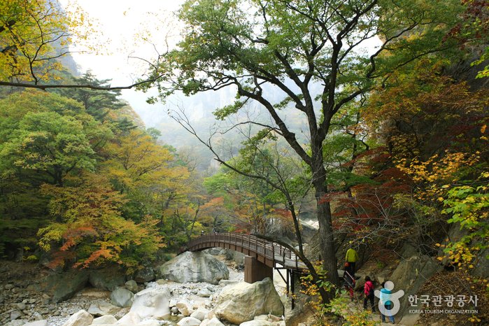 [江原道] 雪嶽山國立公園(南雪嶽)(설악산국립공원(남설악))
