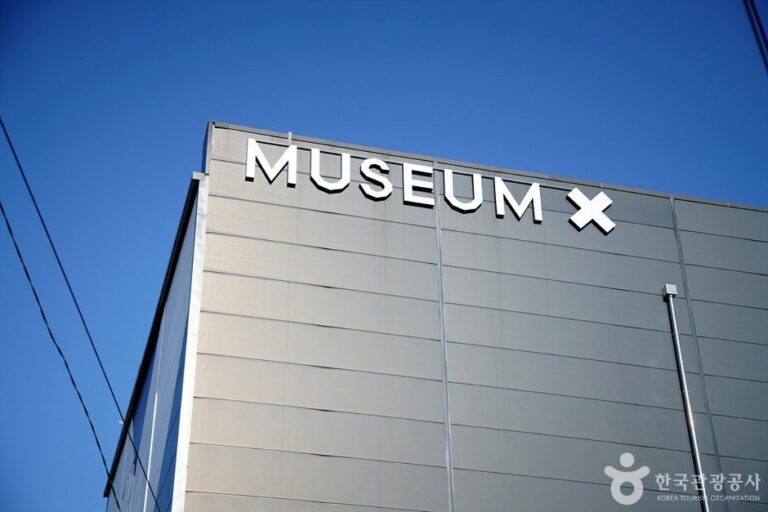 [江原道] Museum X(뮤지엄엑스)