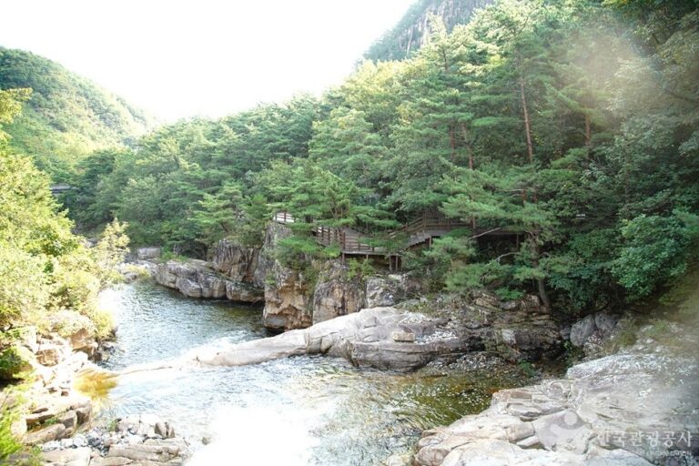 [江原道] 武陵溪谷療癒露營場(무릉계곡 힐링캠핑장)