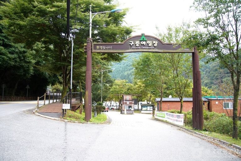 [江原道] 雉岳山龜龍汽車露營場(치악산 구룡자동차야영장)