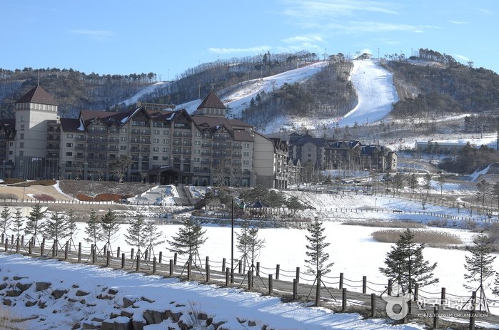 [江原道] Alpensia渡假村滑雪場(알펜시아리조트 스키장)