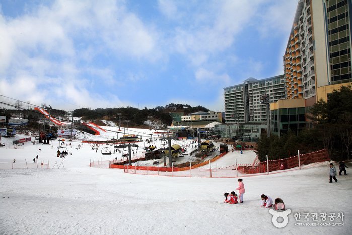[江原道] 維利希利渡假村滑雪場(웰리힐리파크 스노우파크)