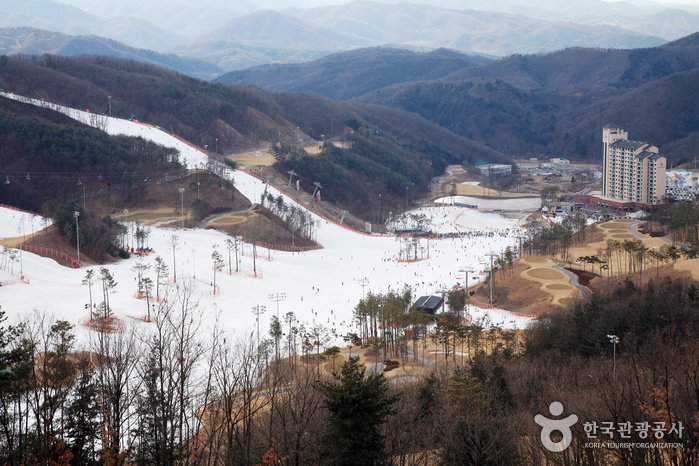[江原道] 橡樹谷滑雪場(오크밸리스키장)