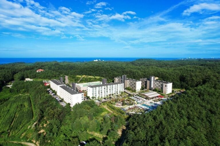 [江原道] THE N RESORT(더앤리조트)