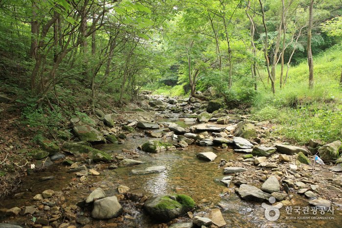 [忠清北道] 蓮谷溪谷(연곡계곡)