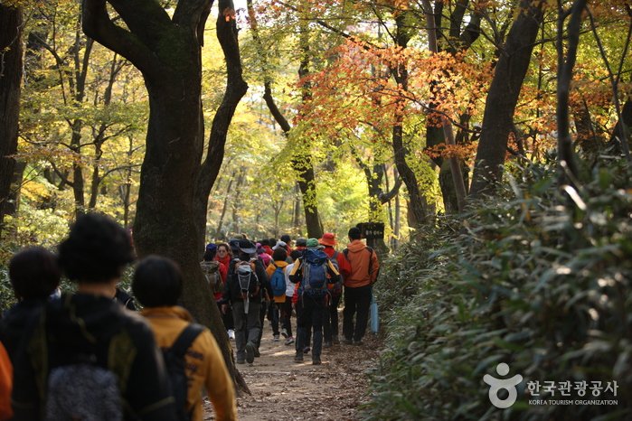 [忠清北道] 俗離山國立公園(忠北)(속리산국립공원(충북))