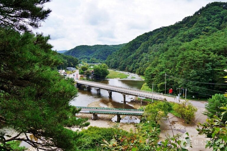 [忠清北道] 濯斯亭(탁사정)
