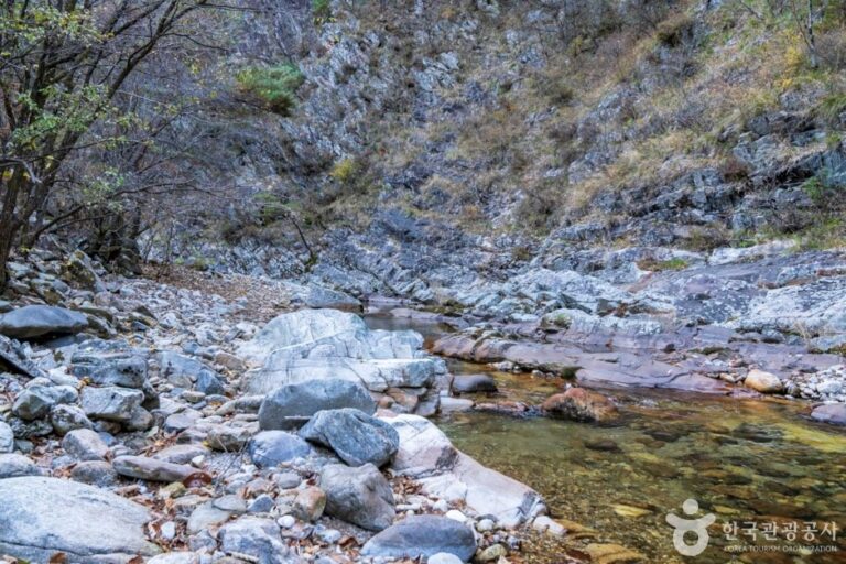[忠清北道] 南川溪谷(남천계곡)