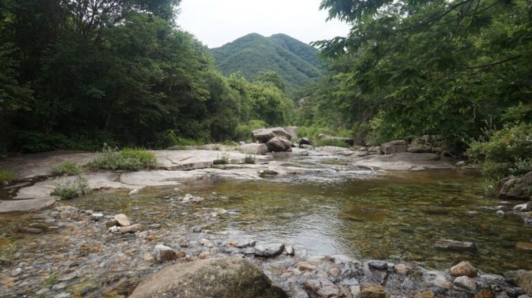 [忠清北道] 葛隱溪谷(갈론계곡)
