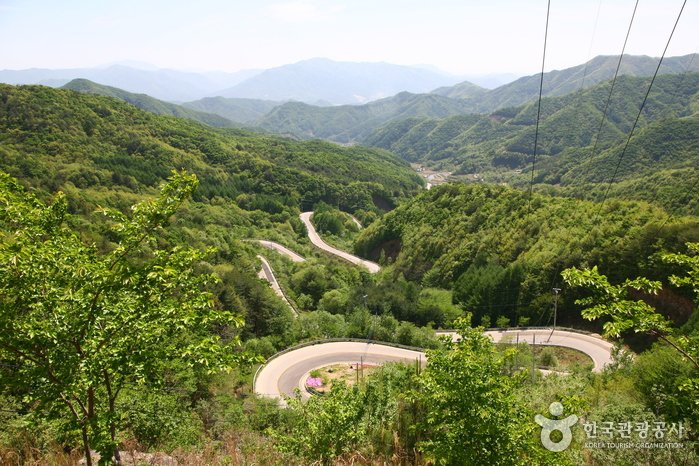 [忠清北道] 刀馬嶺(도마령)