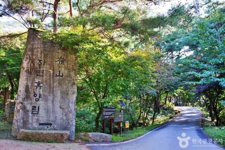 [忠清北道] 鳥嶺山自然休養林(조령산자연휴양림)