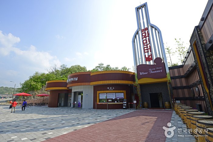 [忠清北道] 永同葡萄酒隧道(영동 와인터널)
