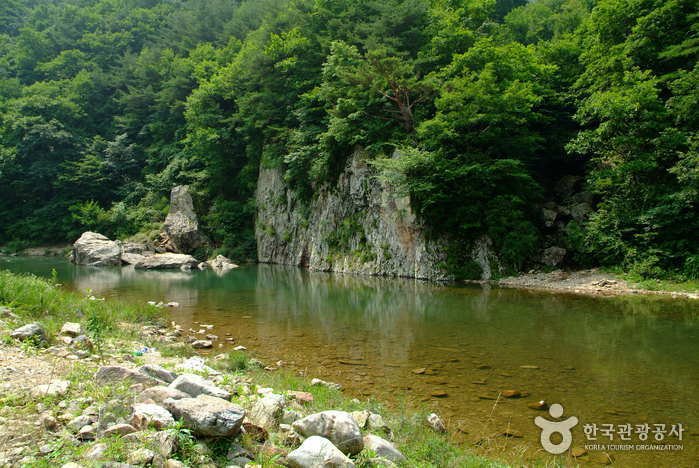 [忠清北道] 書院溪谷(서원계곡)
