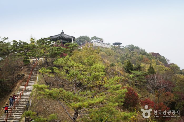 [忠清北道] 清風文化財園區(청풍문화재단지)
