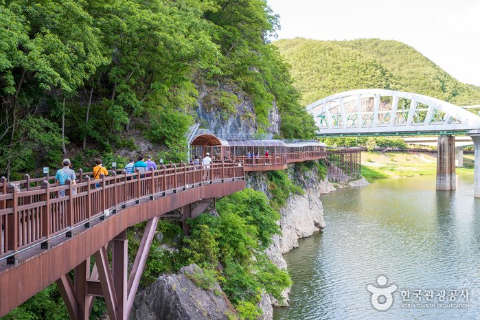[忠清北道] 丹陽江棧道(단양강 잔도)