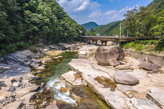 [忠清北道] 仙岩溪谷(下仙岩)(선암계곡(하선암))