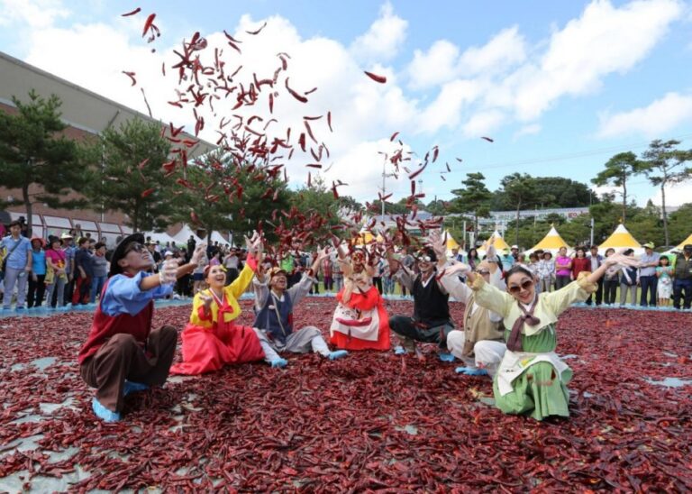 [忠清北道] 槐山辣椒節(괴산고추축제)
