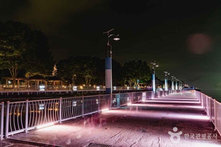[忠清北道] 忠州彈琴湖彩虹步道(충주 탄금호 무지개길)