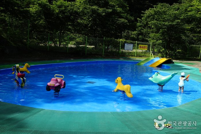 [忠清北道] 泉洞旅遊區水上樂園(천동관광지 물놀이장)